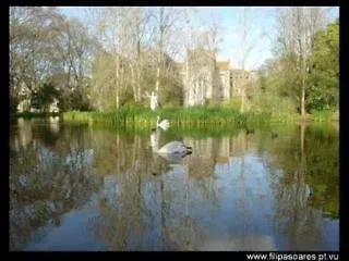 D. Carlos Residencial Pensionat